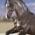 Ponie