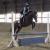 Marielletheequestrian